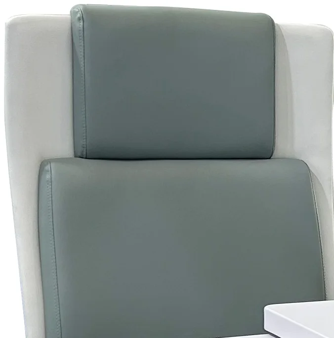C-12 — Chair backrest and seat cushion